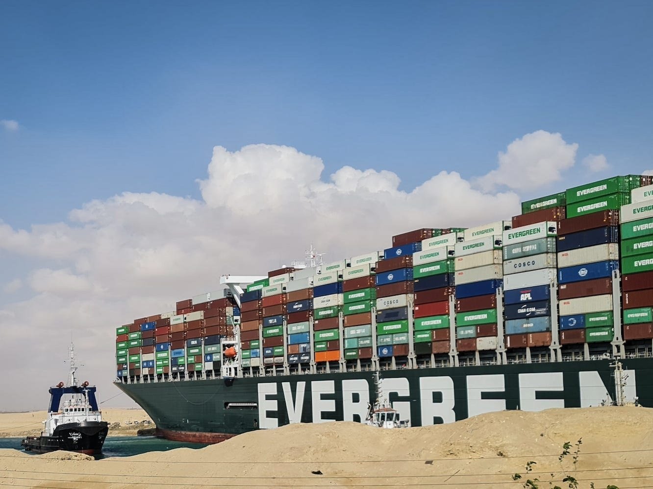 Animales varados en 20 barcos atrapados en la congestión en el Canal de Suez, expuestos a la inanición
